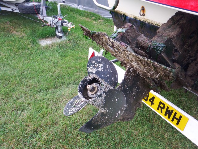 DSCF8535 (Small).JPG