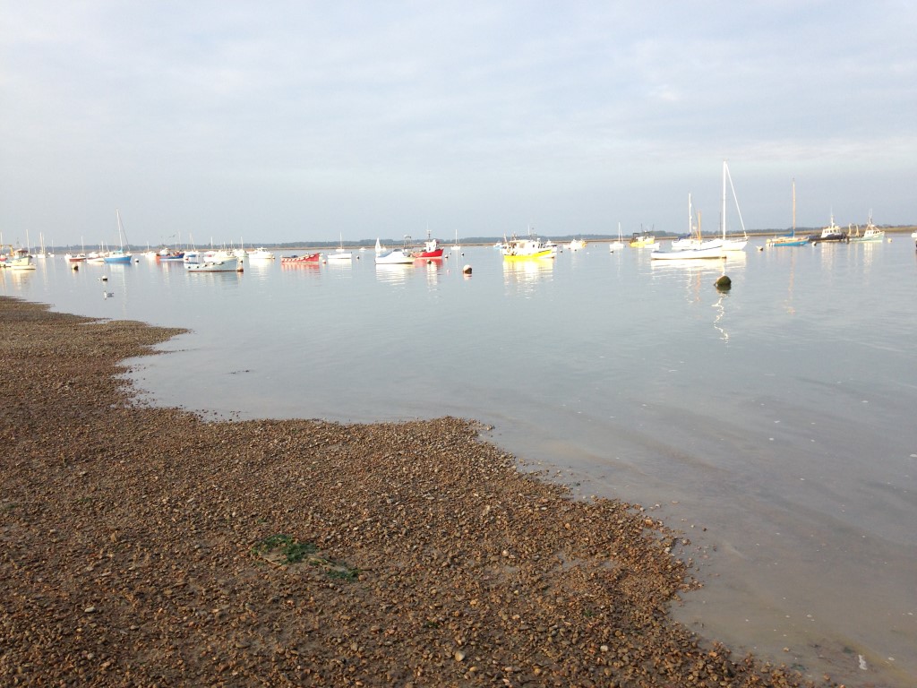 IMG_0317 (Medium).JPG