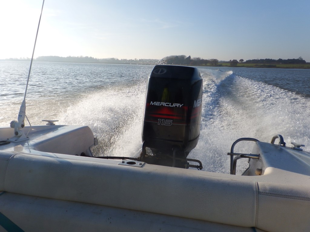 DSCF8539 (Medium).JPG