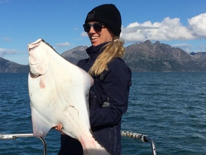 resized halibut nikki_4659.JPG